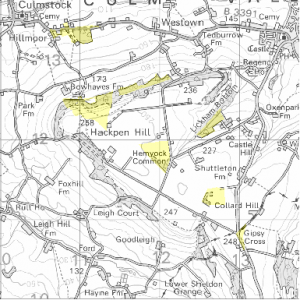 Hemyock Commons Map